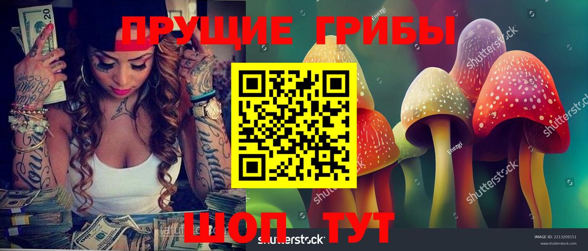 Киселёвск  Галлюциногенные грибы прущие грибы  Вход с VPN 